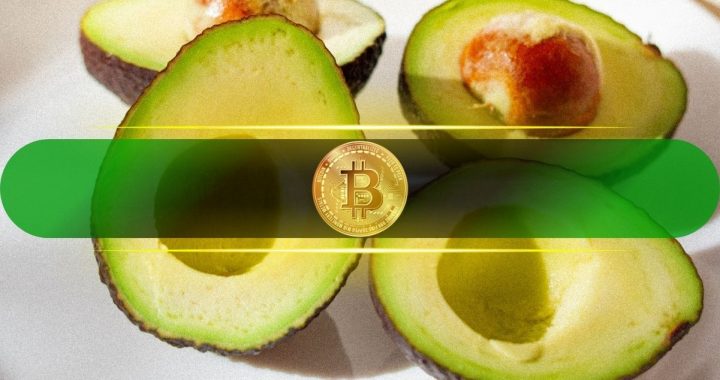 Bitcoin (BTC) Approaches Pivotal Post-Halving Phase, Is Bull Run About to Start?