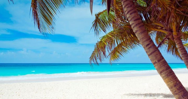 Caribbean’s Revival Mirrors the Growing Adoption in Argentina, Brazil, and Venezuela