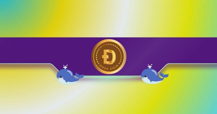 Dogecoin Whales Bought Over 2 Billion DOGE Last Week: Price Rally in the Making?