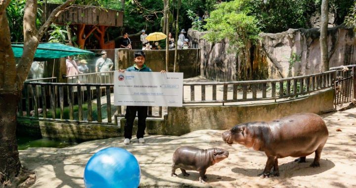 SUI Meme $HIPPO Enters into Charity Partnership with Moo Deng’s zoo