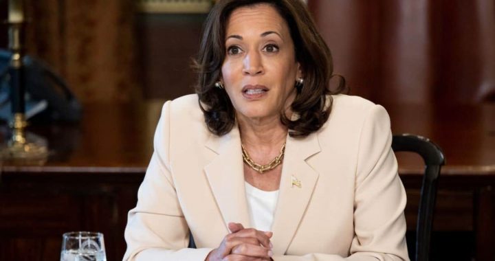 Kamala Harris Advocates for Pro-Crypto Regulations but Fails to Provide Details Again