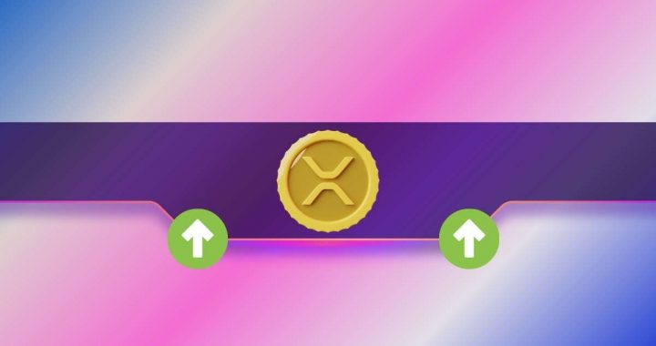 Could This Surging XRP Ledger (XRPL) Metric Lead to Ripple Price Rally?