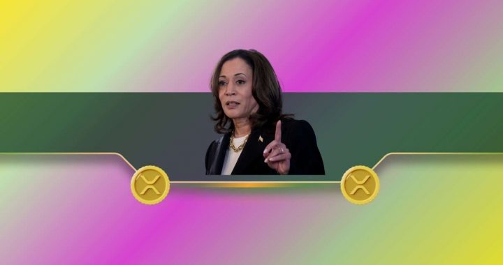 Ripple’s Larsen Explains Why He Donated $10M Worth of XRP to Harris’ Presidential Campaign