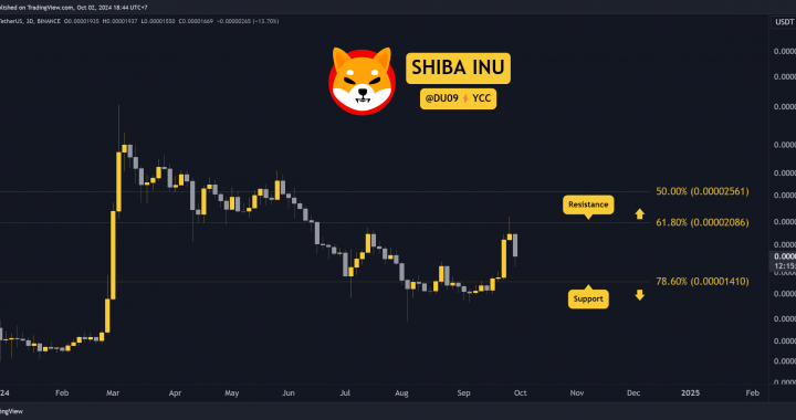 The Reason Behind Shiba Inu (SHIB) Price Plummet Today: Analysis