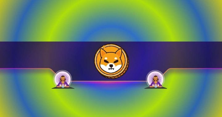 Shiba Inu (SHIB) Might be Gearing up for a 130% Price Increase: Analyst