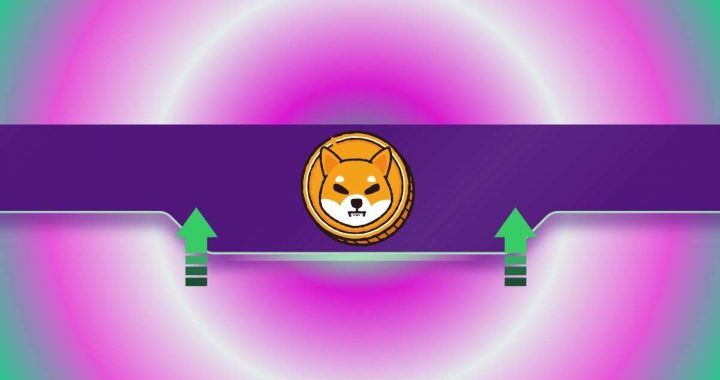 Shiba Inu (SHIB) Price Soars 4% Daily as Exchange Reserves Keep Declining