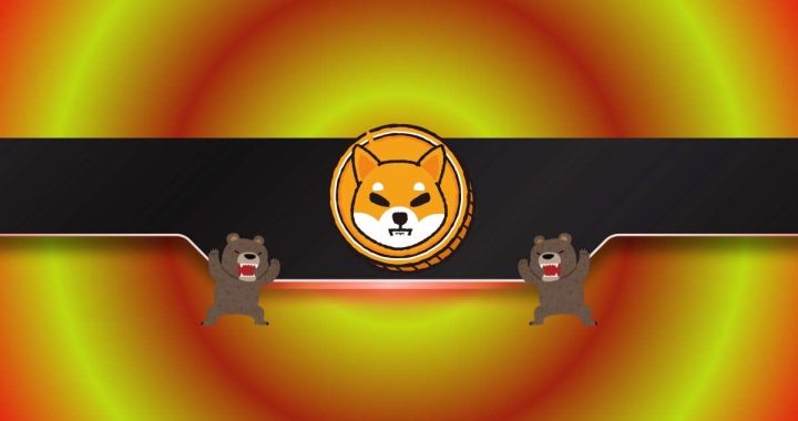Is Shiba Inu (SHIB) Price About to Plummet? 4 Bearish Signs to Watch