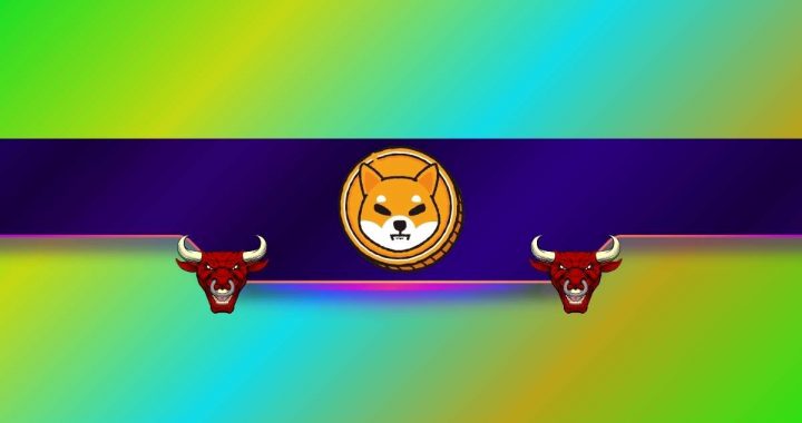 3 Reasons Behind Shiba Inu’s (SHIB) 30% Monthly Rally: Details