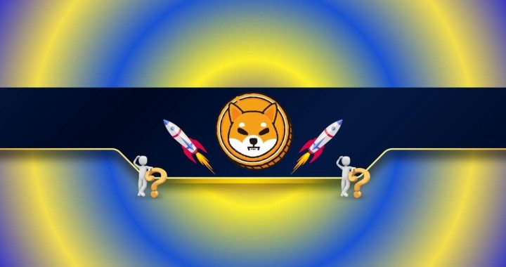 Massive Shiba Inu (SHIB) Price Prediction With a Big Bet Riding on it