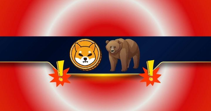 3 Warning Signs for the Shiba Inu (SHIB) Price to Watch