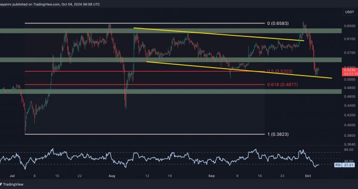 Ripple Price Analysis: Is XRP Headed to a Crash Below $0.50?