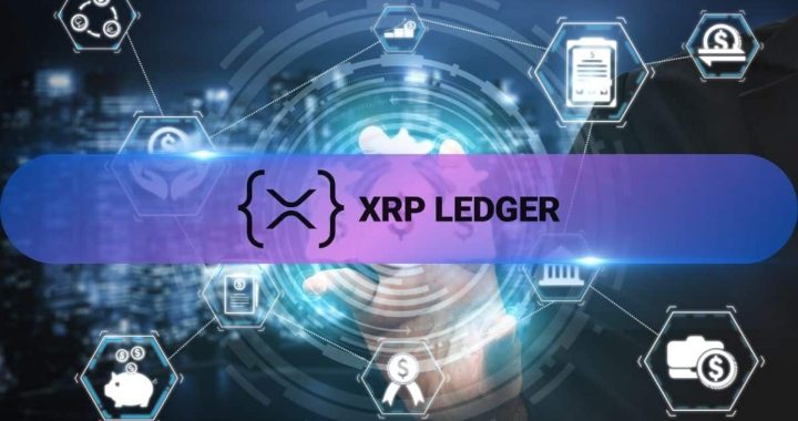 Here’s How XRP Ledger Has Performed On-Chain Over the Past Month