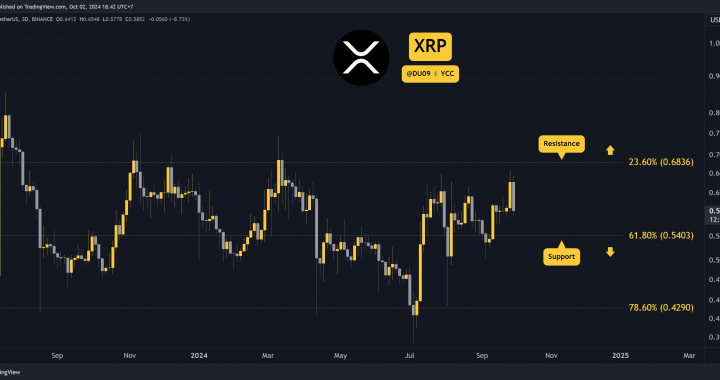 Ripple After the Crash: What’s Next for the XRP Price?