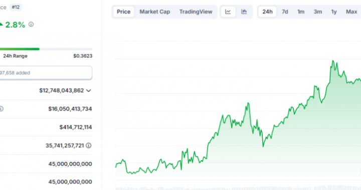 Cardano To Soar 22X? Analyst Sees Opportunity Despite On-Chain Decline