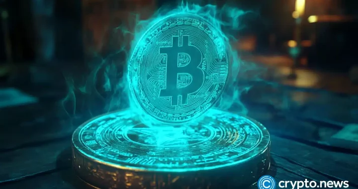 Whales didn’t sell Bitcoin at $62k, on-chain data shows