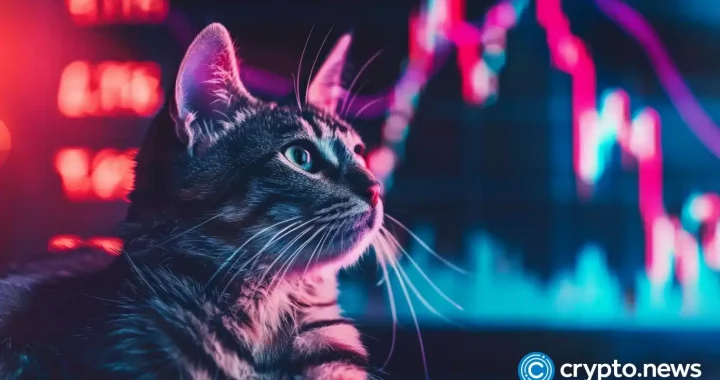 Bonk and Popcat prices diverge as their CEX outflows rise