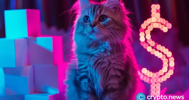 Here’s why RabBitcoin, Catizen, and Dogs tokens have plunged