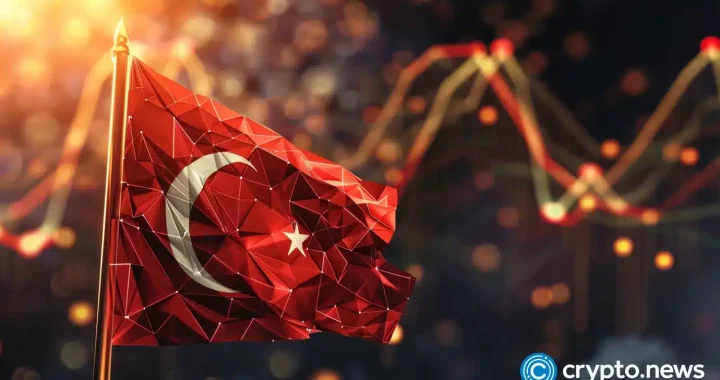 Tether pitches boron tokens on blockchain to Turkey’s officials: report