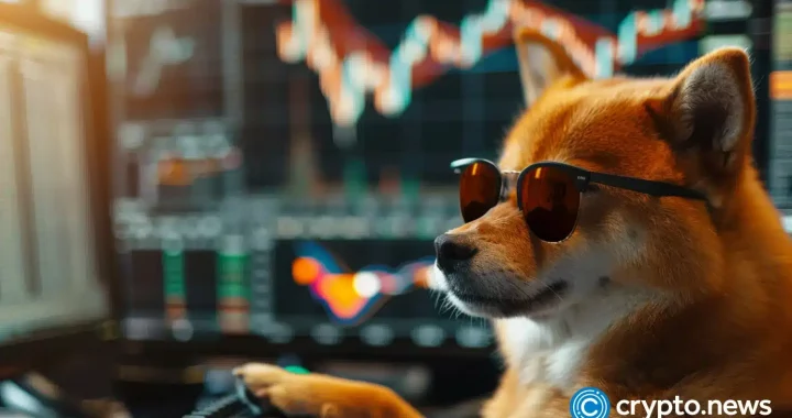 SUI leads top gainers as open interest hits all-time high