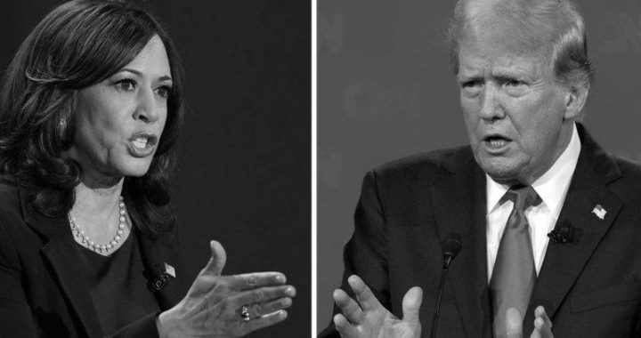 Election Fever Pushes Polymarket to $533M in September, Setting New Records