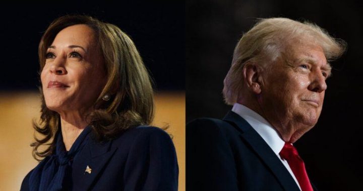 Polymarket Odds: Trump Seizes Big Lead Over Harris in White House Race