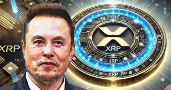 Tesla CEO Elon Musk Highlights XRP and Crypto Potential Amid Regulatory Heat