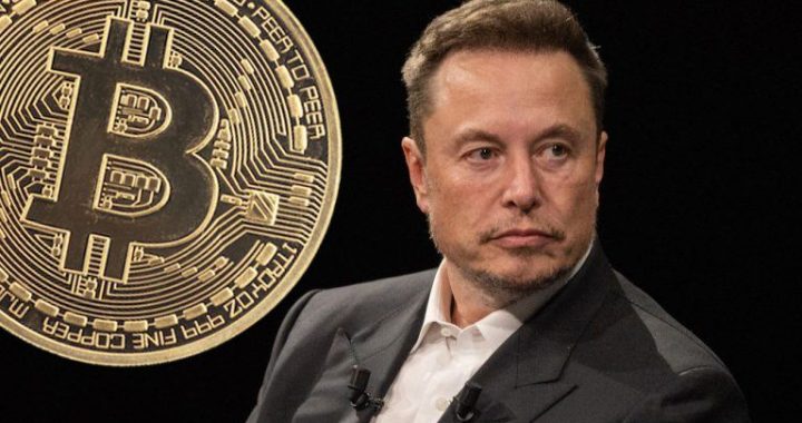 Tesla Relocates $760M Worth of Bitcoin, While Spacex Funds Remain Untouched