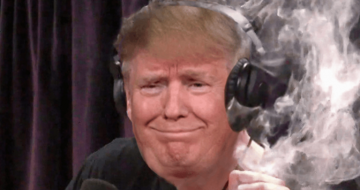 MAGA (TRUMP) Price Up 17%, Is $DUM The Next PolitFi Crypto to Explode