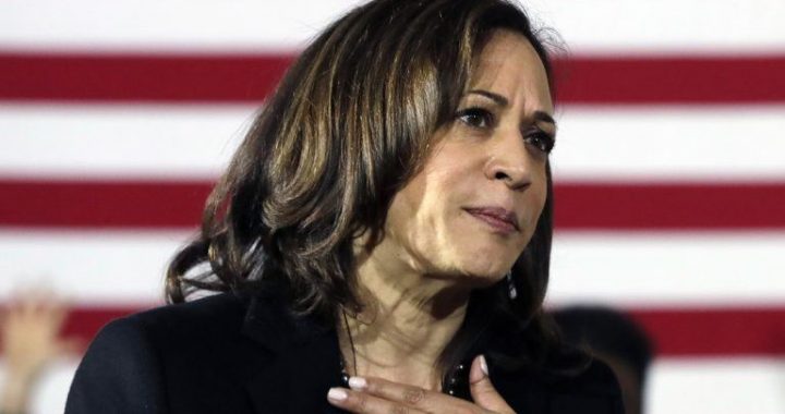 Kamala Harris’s Odds of Winning Take a Major Hit After Fox News Interview, Shaking up the 2024 Race