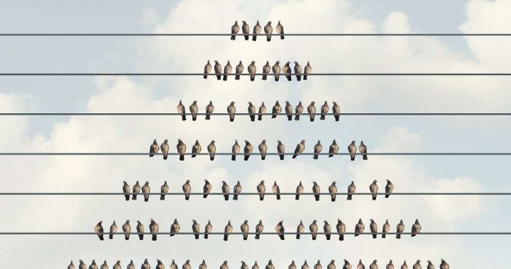 86-Year-Old Gets 5 Years Probation for $15M Crypto Ponzi Scheme