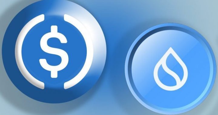 Circle Brings USDC to Sui: What This Means for Bridged Tokens