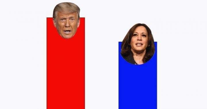 Polymarket Election Buzz: Why Trump’s Lead Is Stirring Skeptics and Memes Alike