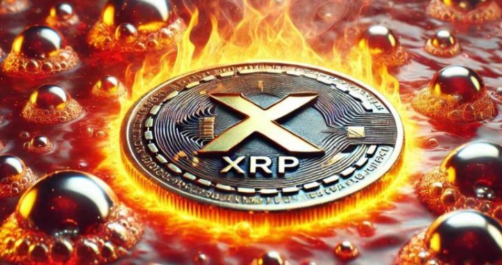 XRP’s Legal Status Unshaken Amid SEC Appeal – Ripple Prepares Counterstrike