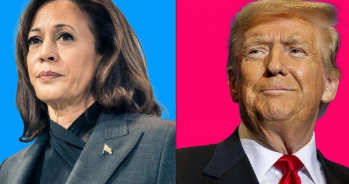 Study: Nearly Half of US Voters Value Pro-Crypto Stance, Trump Seen as Savvier