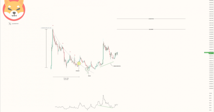 Will Shiba Inu Price Jump Over 300%? This Analyst Thinks So