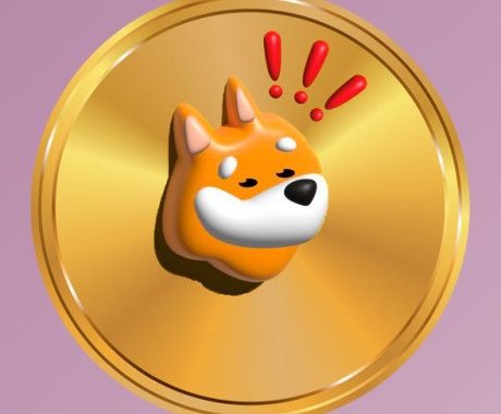 Is BONK Rally In Jeopardy? Technical Indicators Confirm Weakness