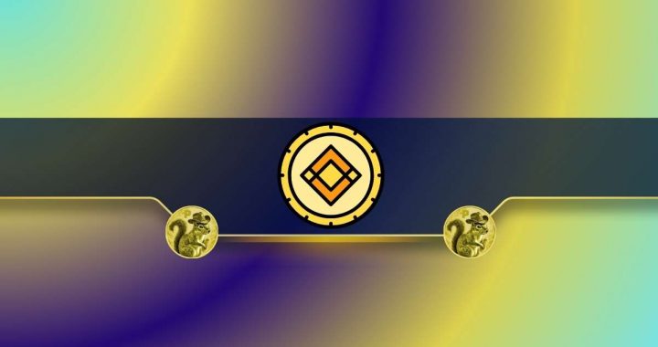 Important Binance Update for Peanut the Squirrel (PNUT) Traders: Details