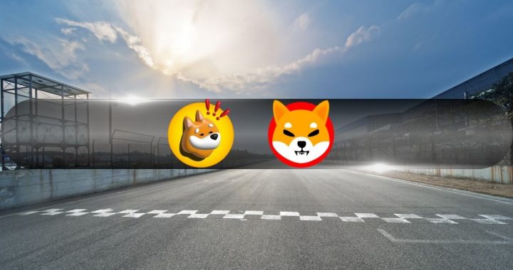 Could BONK Flip SHIB By Bitcoin’s Final ATH This Meta Cycle?