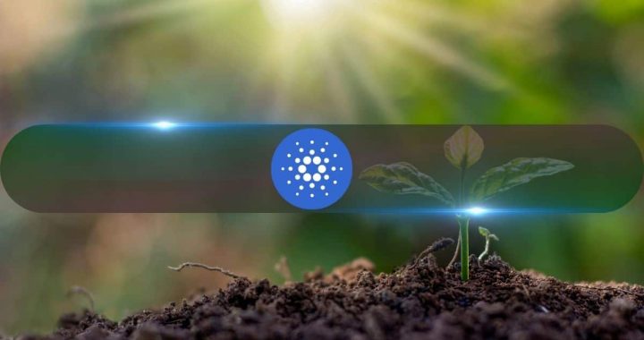 Cardano (ADA) Soars 30% Daily as Founder Charles Hoskinson Makes Big Announcement