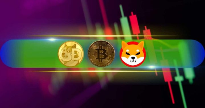 DOGE, SHIB Explode by Double Digits, BTC Charts a Fresh Peak Close to $82K (Market Watch)