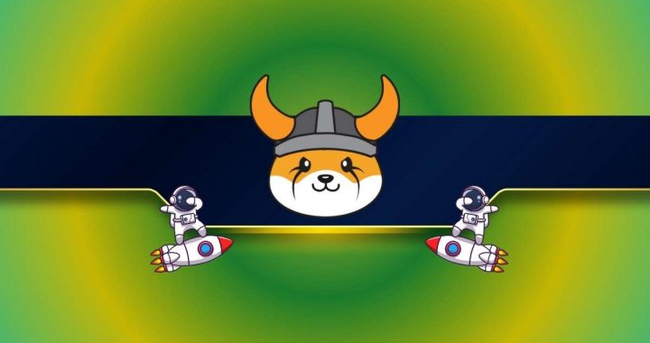 This Is Why Floki (FLOKI) Exploded by 27% in Minutes to 4-Month High