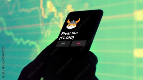 FLOKI Faces Downside Risks: $0.000110 Support Level Under Scrutiny