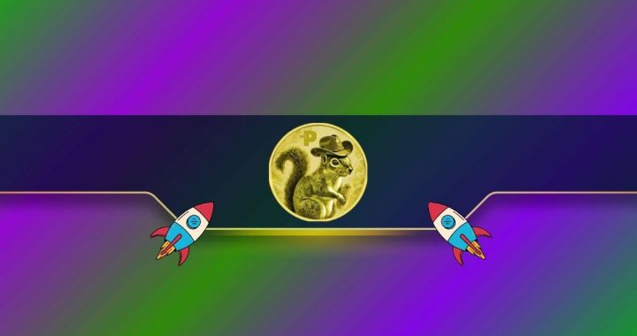 Here’s Why the PNUT Price Exploded by 200% Today