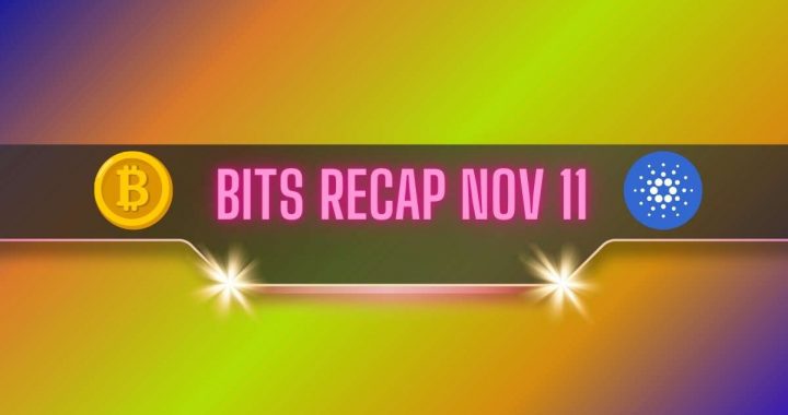 Cardano’s (ADA) Price Rally, Bitcoin’s (BTC) Fresh ATH, and More: Bits Recap Nov 11