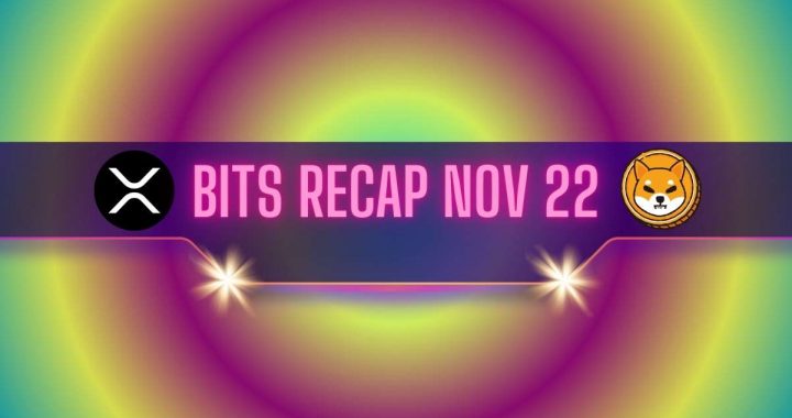 Massive Ripple (XRP) Price Surge, Another Warning for Shiba Inu (SHIB) Users, and More: Bits Recap Nov 22