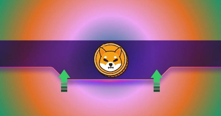 Why Has Shiba Inu’s (SHIB) Price Skyrocketed by 25% Today?