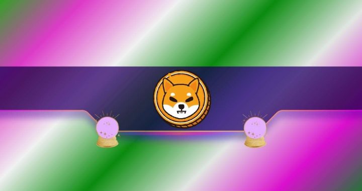 Massive Shiba Inu (SHIB) Price Prediction: Is a 10x Possible?
