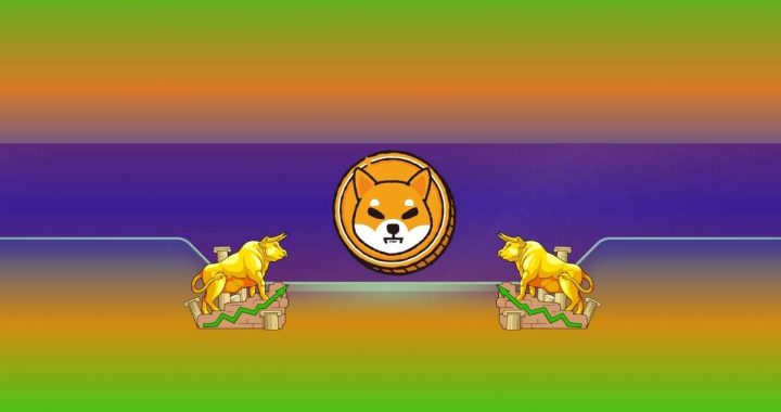 Important for Shiba Inu (SHIB): Burn Rate Skyrockets by Almost 2,000% Amid Recent Price Increase