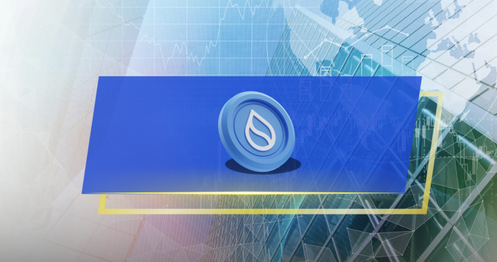 What Is Sui Network (SUI): The Ultimate Guide in 2024