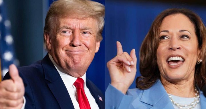 Which Way Will Bitcoin Go in Election Week? Experts Weigh In 